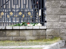 Два букета цветов у посольства России в Минске. Фото - Владимир Чуденцов