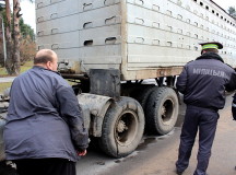 КамАЗ переехал 13-летнюю девочку. Фото - ГАИ Гродно