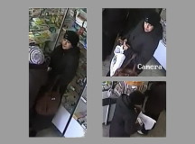 Карманная воровка. Скриншоты из видео камеры наблюдения.