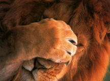 Фото с сайта planet-inspire.blogspot.com