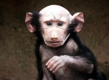 © Фото с сайта newzz.in.ua