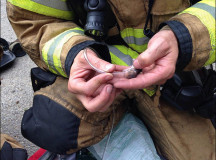 Спасение хомяка с помощью специальной кислородной маски. © Фото с сайта buzzfeed.com