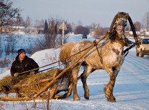 Гужевая повозка в России. © Фото с сайта triplexoid.ru