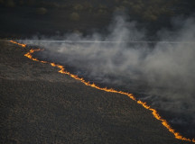 Лесной пожар под Чернобылем - вид с вертолета. © Фото МВД Украины