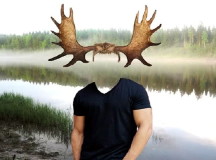 В Беларуси задержали двух россиян с рогами. © Фото с сайта photobucket.com