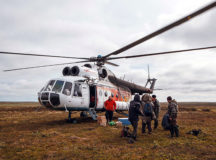 В России эвакуируют оленеводов из-за сибирской язвы. © Фото - Алексей Чебан