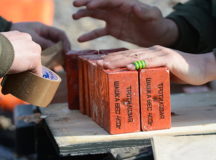 Тротиловые шашки. © Фото с сайта sputniknews.kz