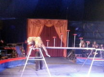 За секунду до ужаса в Боготоле. © Фото очевидца.