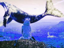 В Беларуси предотвращен суицид из-за "Синих китов". © Фото SB.BY