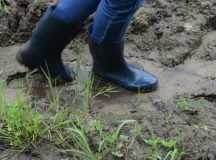 Путин поручил ввести в России "налог на ноги". © Фото с сайта picdn.net