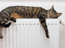 В Минске на этой неделе могут включить отопление. © Фото с сайта oakleygas.co.uk