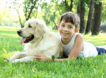 Мальчик и собака. © Фото с сайта fredsullivan.com