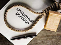 Белорус ушёл жить в лес, чтобы не отдавать кредит. © Фото с сайта