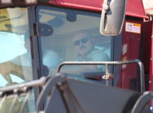 Александр Лукашенко за штурвалом комбайна. © Фото - пресс-служба президента Беларуси