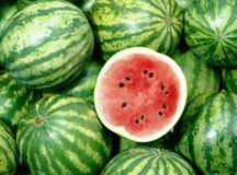 Жителя Минска забили до смерти за попытку вернуть испорченные арбузы. © Фото с сайта aarp.net