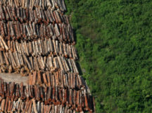 В Китае считают, что рубить сибирский лес - это нормально. © Фото - "Цзиньжи Тоутяо"
