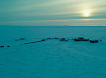 Полярная станция "Беллинсгаузен". © Фото - Сергей Фролов, Global Look Press
