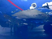 Самолёт "Белавиа" получил повреждения в Киеве. © Фото очевидца