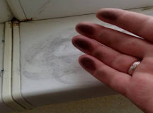 Теперь это обычная картина на юге Могилёва. © Фото - "Белсат"