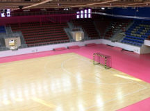 Тренер получал зарплату за подготовку несуществующих гандболистов. © Фото с сайта zp.ua