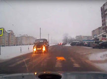 Кот из Пружан переходит дорогу по "зебре". © Скриншот из видео