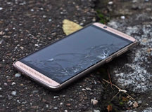 В Хойниках школьница погибла из-за селфи. © Фото с сайта junglecreations.com