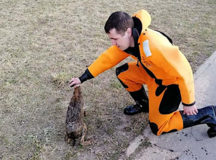 В Минске сотрудники МЧС спасли зайца (ФОТО)