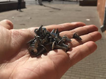 Такие шурупы рассыпают по тротуарам. © Фото - Максим Осипов.