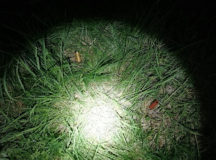 На месте преступления. © Фото - Следственный комитет Беларуси