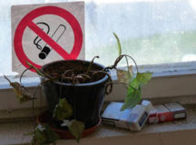 Белорус убил соседа за курение в подъезде. © Фото с сайта progomel.by