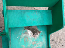 Парк Победы пострадал от «кровавого салюта» (ФОТО)