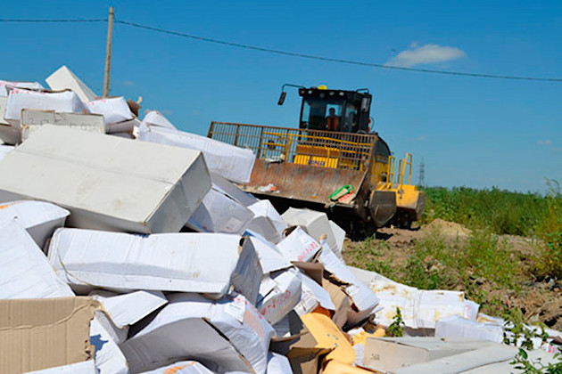 Уничтожение "санкционного" сыра в России