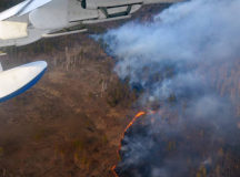 Тушение лесного пожара в России. © Фото ТАСС