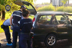 На Могилёвщине трое пьяных везли в багажнике труп