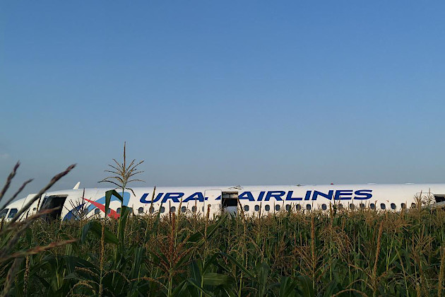 В России сел в кукурузном поле Airbus A321
