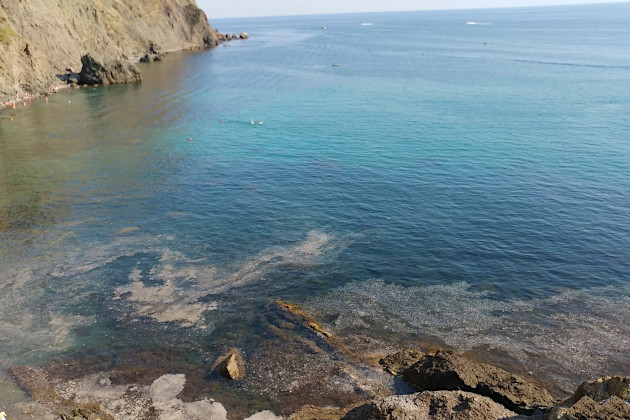 В Крыму запретили купаться: в море слишком много фекалий