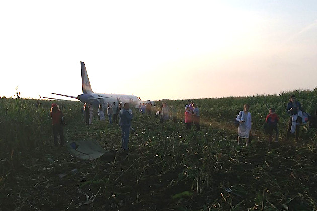 В России сел в кукурузном поле Airbus A321