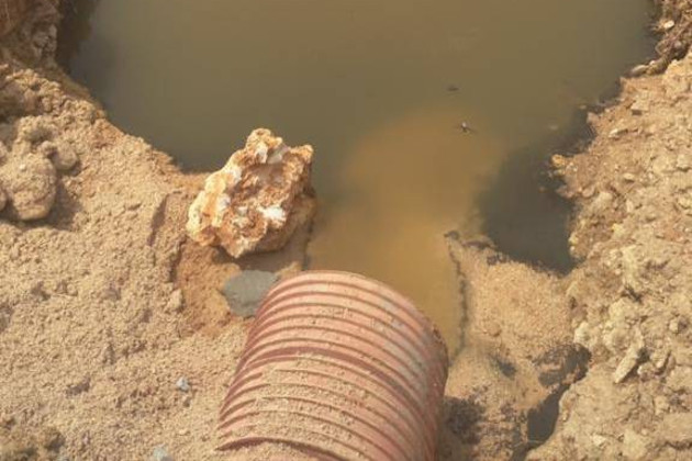 В Крыму запретили купаться: в море слишком много фекалий