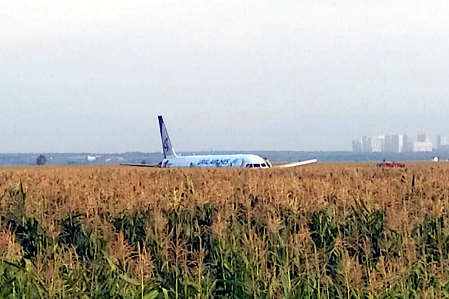 В России сел в кукурузном поле Airbus A321