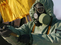 В Беларуси обнаружен очаг сибирской язвы. © Фото с сайта nn.by